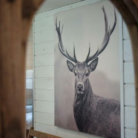 Chalet Le Grand Cerf Bullange Extérieur photo