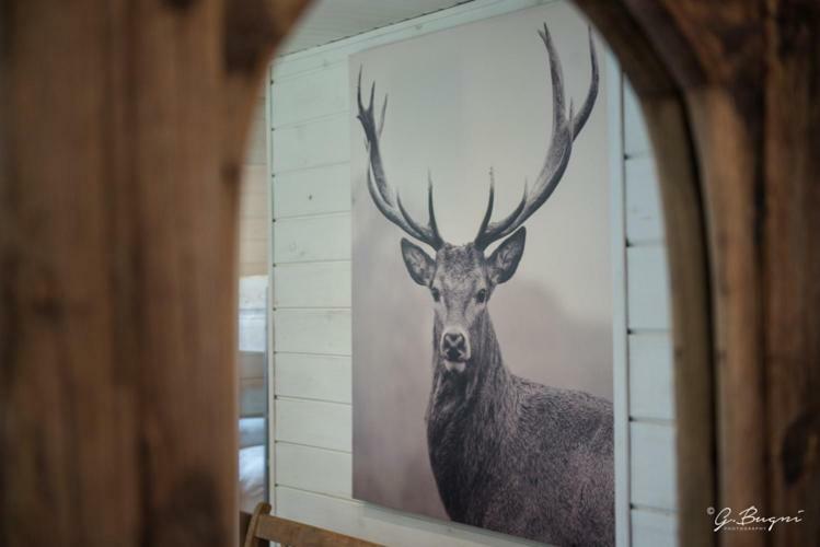 Chalet Le Grand Cerf Bullange Extérieur photo